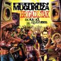 Fermin Muguruzaren "Brigadistak Sound System" diskoaren azala.